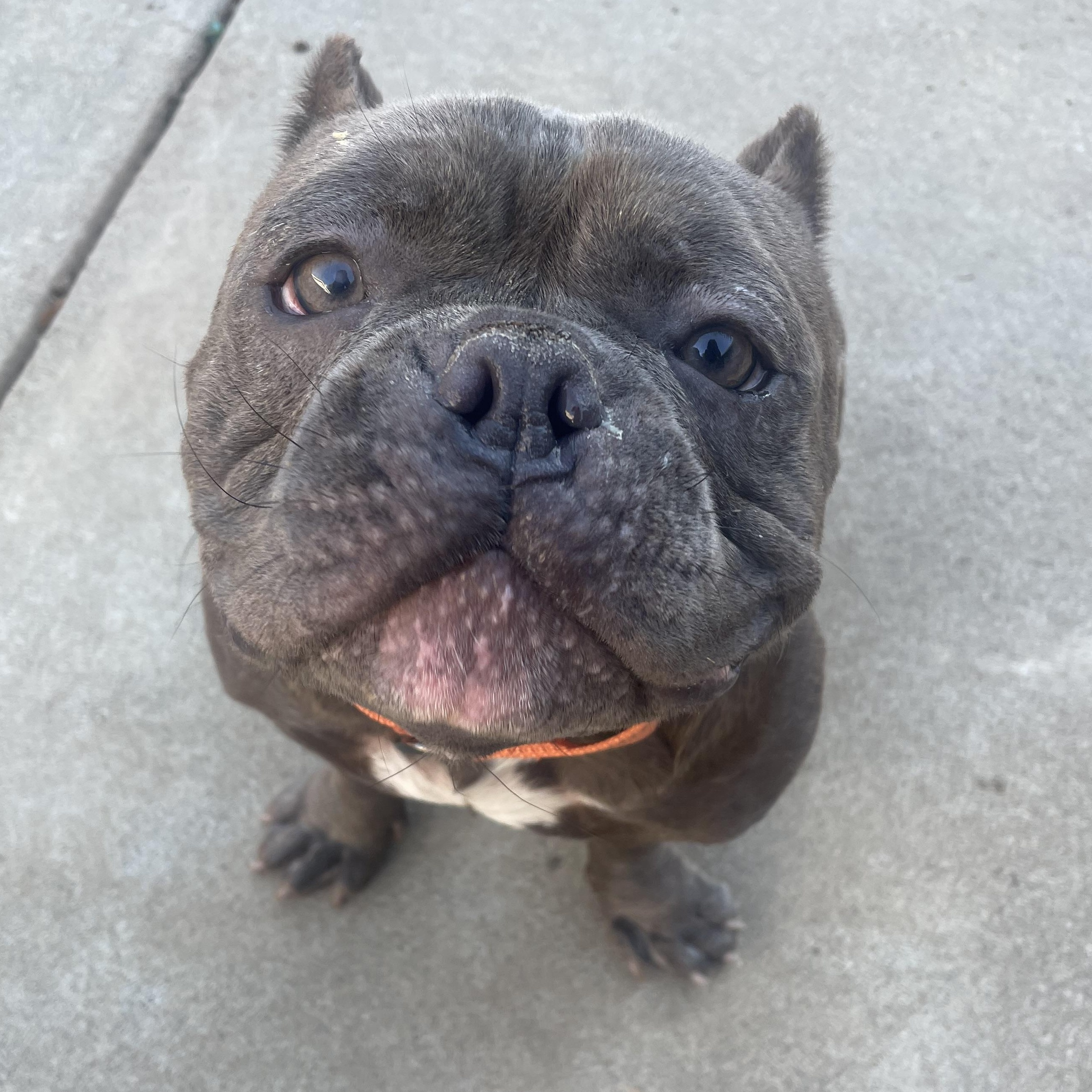 Charlie photo 1