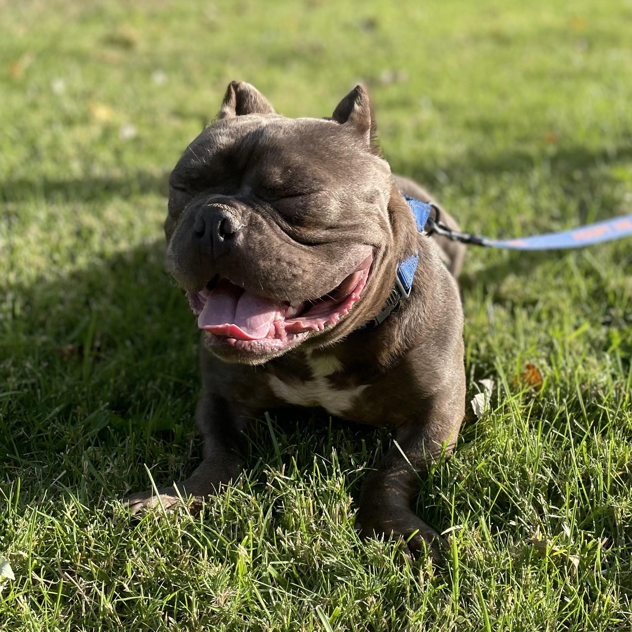 Charlie photo 4